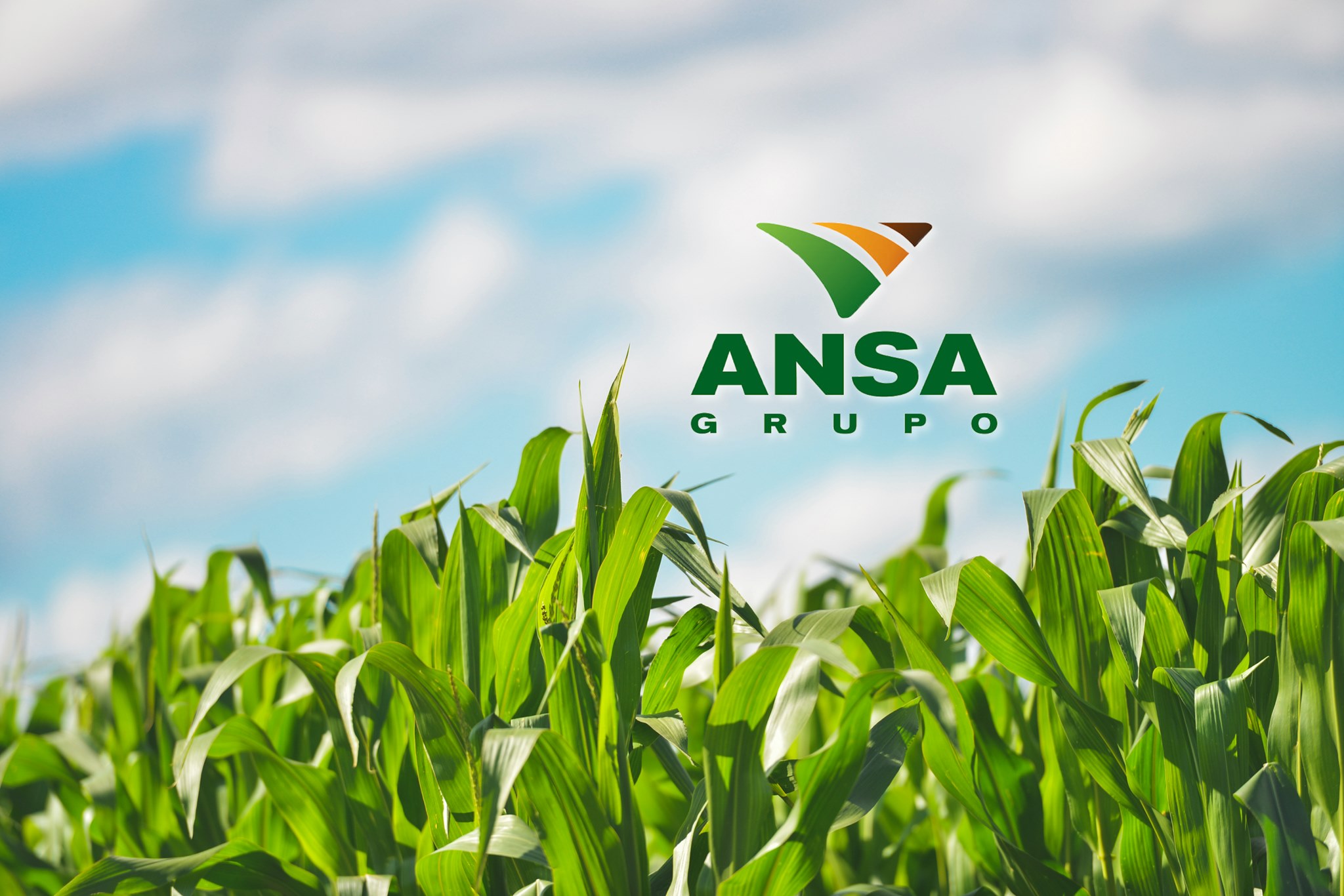 Grupo Ansa